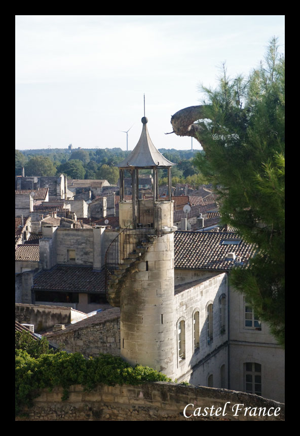 Cliquez pour agrandir l'image
