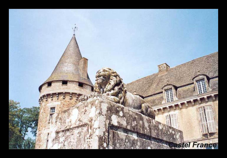 Cliquez pour agrandir l'image