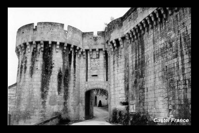 Cliquez pour agrandir l'image