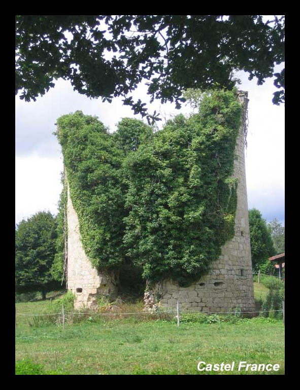 Cliquez pour agrandir l'image