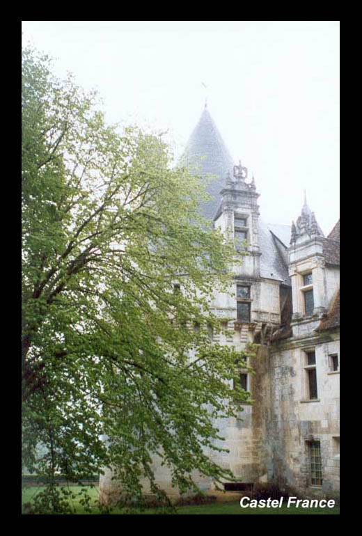 Cliquez pour agrandir l'image