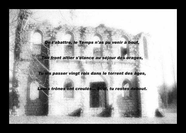 Cliquez pour agrandir l'image
